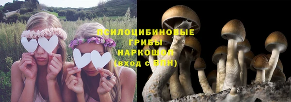 метамфетамин Ладушкин